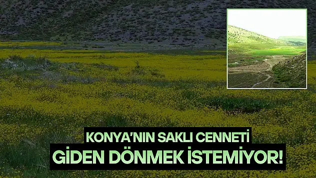 Konya'nın saklı cenneti: Giden dönmek istemiyor!