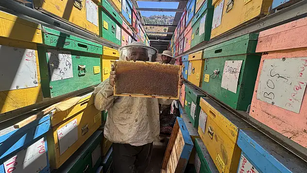 Konya'nın yükseklerinde sıra dışı üretim! 5,5 ton hasat bekleniyor
