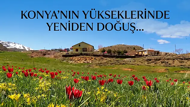 Konya'nın yükseklerinde yeniden doğuş