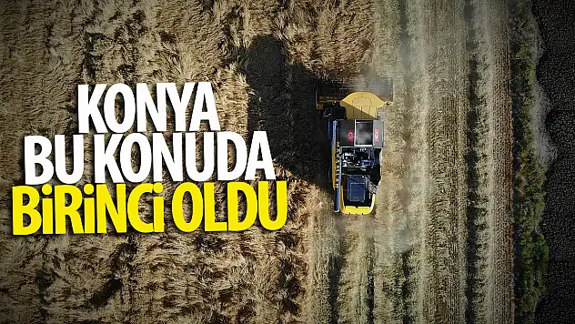 Konya o alanda Türkiye birincisi