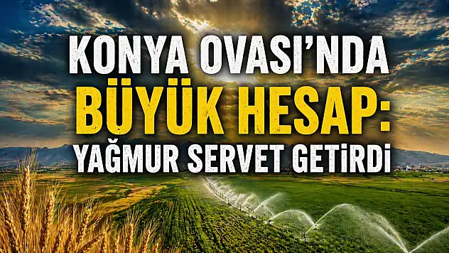 Konya Ovası'nda büyük hesap: Yağmur servet getirdi