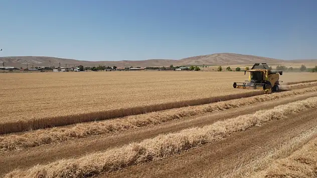 Konya Ovası'nda tablo değişti: Yıllar sonra ilk kez böyle bir rakam görüldü