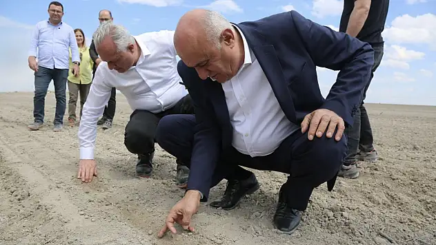 Konya Ovası'nda verim yüksek, kazanç düşük: Şeker sektöründe tehlike sinyali