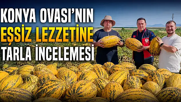 Konya Ovası'nın eşsiz lezzetine tarla incelemesi