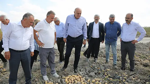 Konya, patates tohumunda dışa bağımlılığı bitirmeye hazırlanıyor: Yerli tohum müjdesi!