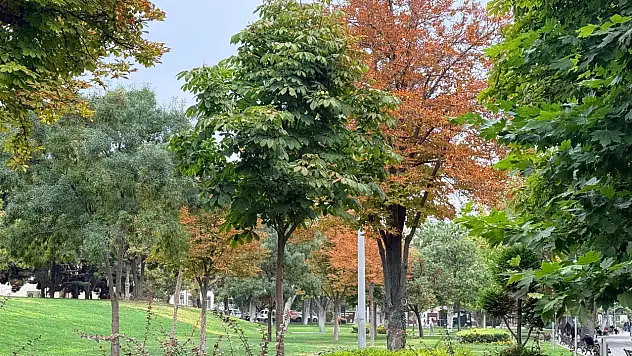 Konya renklerini değiştirdi! Yeşil sarıya dönüyor