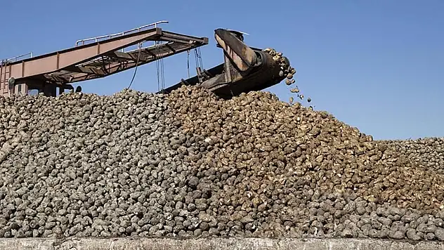 Konya Şeker açıkladı! Şeker kotalarında şok gelişme...