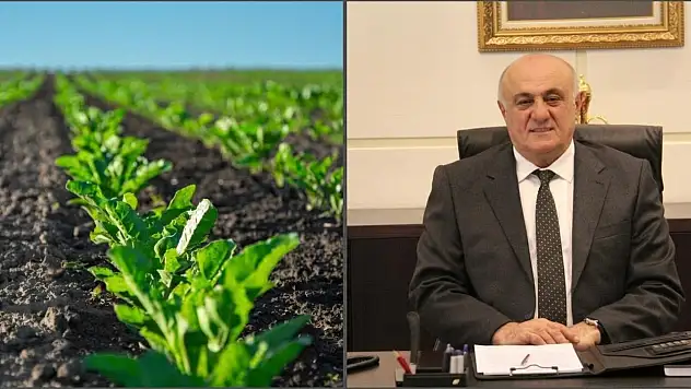 Konya Şeker'den üreticiye 567 milyon TL'lik ödeme müjdesi