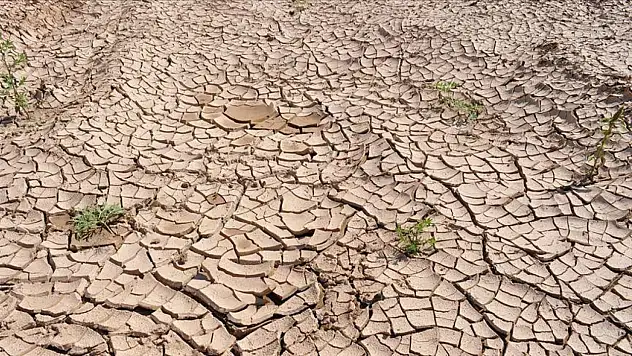 Konya son 39 yılın en kurak Mart ayını geçiriyor: Bakanlığın verileri korkuttu!