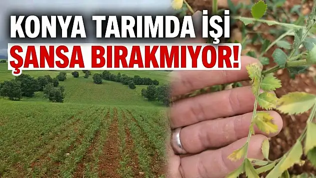Konya tarımda işi şansa bırakmıyor!