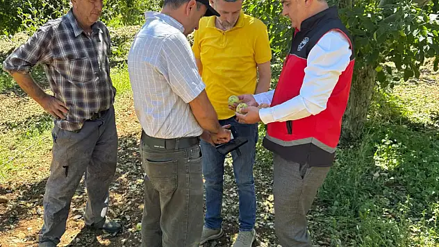 Konya tarımı ağır hasar aldı! Çiftçilere önemli çağrı...