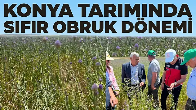 Konya tarımında sıfır obruk dönemi