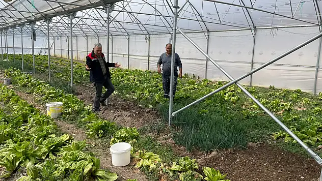 Konya tarımında sıfır risk hedefi: Üretim teknik takibe alındı