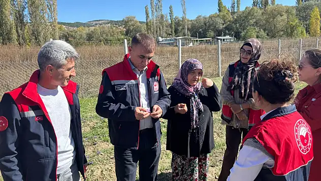 Konya tarımında ürün çeşitliliği artıyor