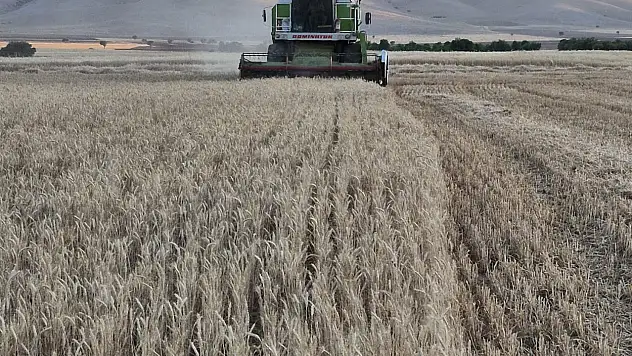 Konya tarımında yeni gelişme! Kıraç arazideki verim ortaya çıktı