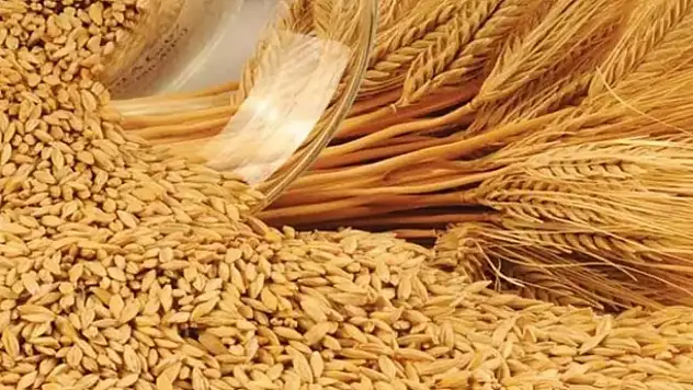 Konya Ticaret Borsası'nda hububat fiyatları güncellendi!