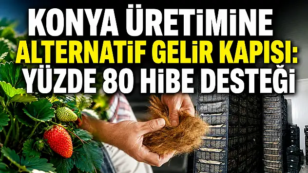 Konya üretimine alternatif gelir kapısı: Yüzde 80 hibe desteği
