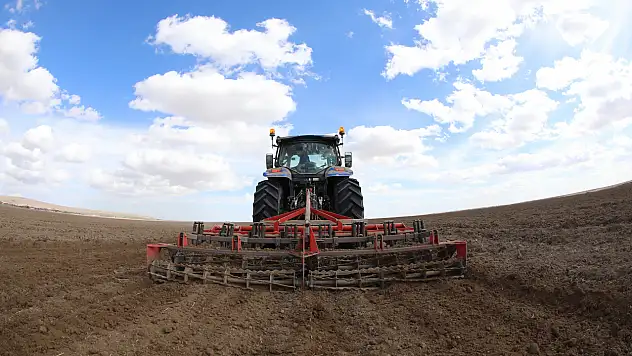 Konya'ya 800 bin metrekarelik aspir bitkisi ekilecek