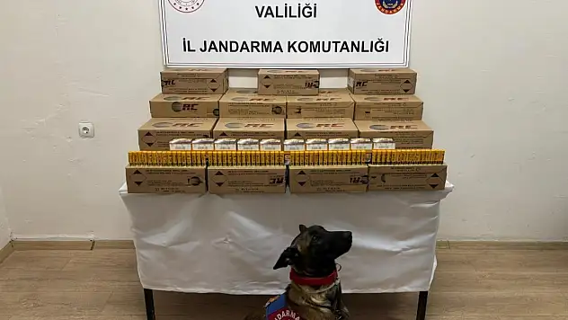 Konya'ya gelen yolcu otobüsünde cephanelik çıktı