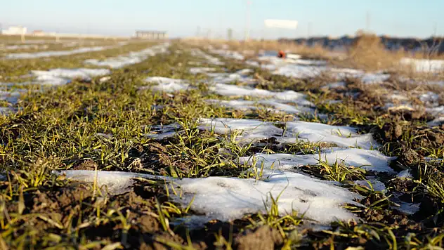 Konya'ya kar yağmazsa büyük kayıp kapıda