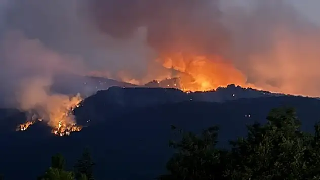 Konya'ya şehit ateşi düştü!