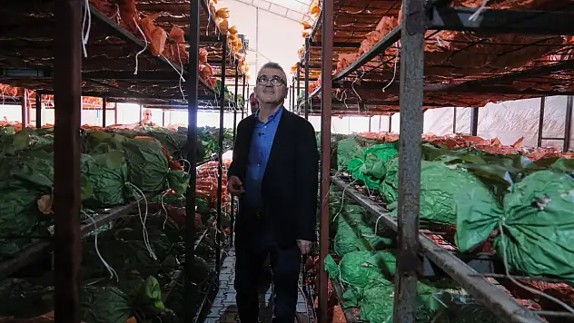 Konya'yı fırtına vurdu, genç üreticinin işletmesi zarar gördü