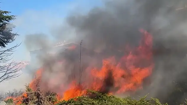 Konya yolu kenarındaki ağaçlık alanda korkutan yangın!