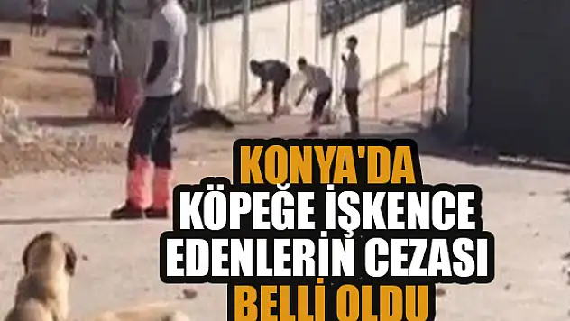 Konya'da köpeğe işkence edenlerin cezası belli oldu