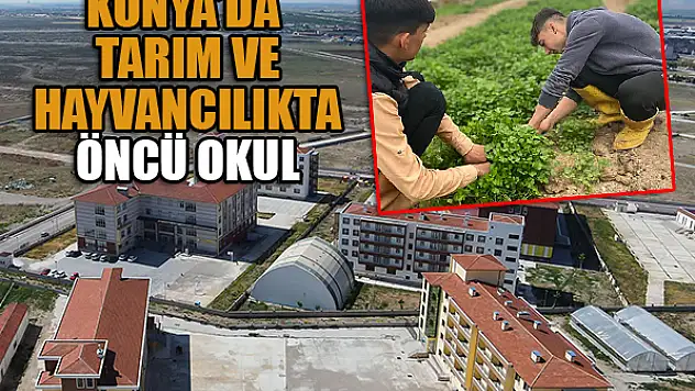 Konya'da tarım ve hayvancılıkta öncü okul