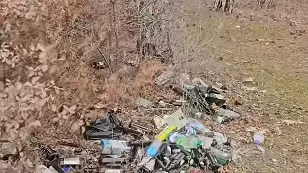 Konyalı başkan bu kez huzurla değil, korkunç manzarayla karşılaştı