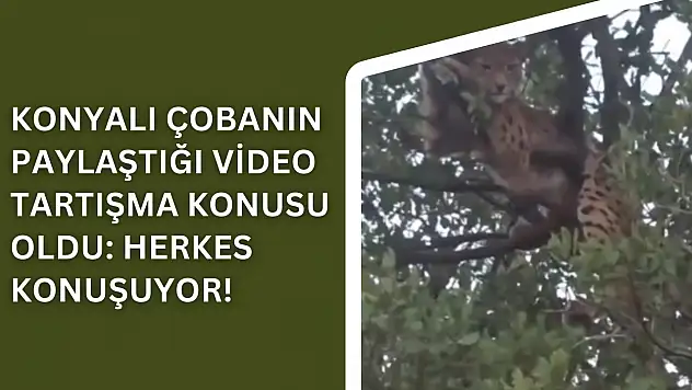 Konyalı çobanın paylaştığı video tartışma konusu oldu: Herkes konuşuyor!