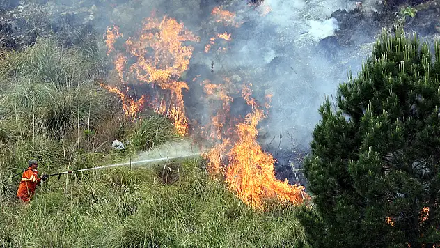 Konyalı Firmadan Yaz Yangınlarına Karşı Etkili Tavsiye: Yangın Sürümü