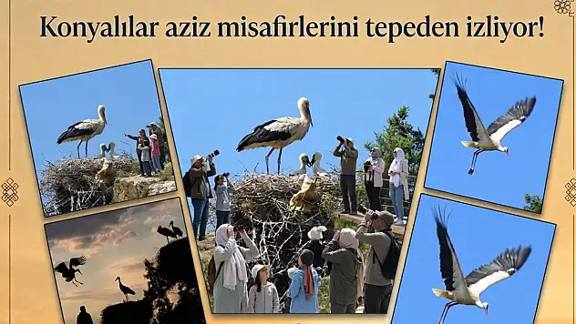 Konyalılar aziz misafirlerini tepeden izliyor!