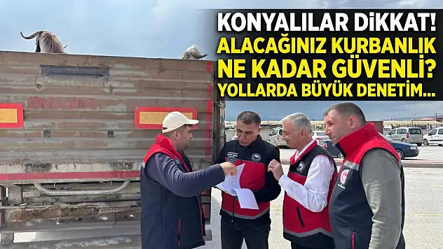 Konyalılar dikkat! Alacağınız kurbanlık ne kadar güvenli? Yollarda büyük denetim...