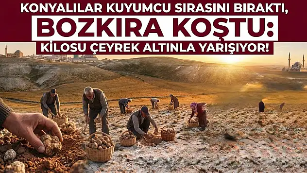 Konyalılar kuyumcu sırasını bıraktı, bozkıra koştu: Kilosu dudak uçuklatıyor