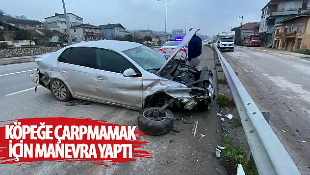 Köpeğe çarpmamak için manevra yaptı: Ama…