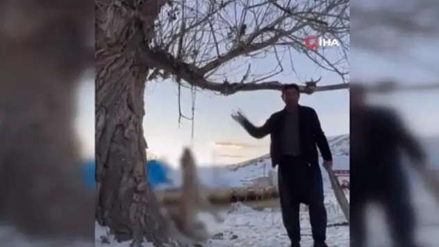 Köpeğe yapılan vahşet gündem oldu: 1 gözaltı