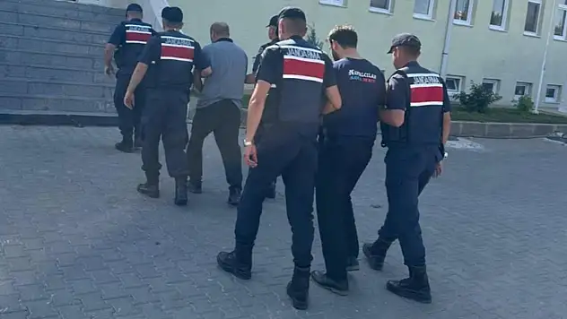 Köpeklerin kavgasında çobanı öldürdüler!