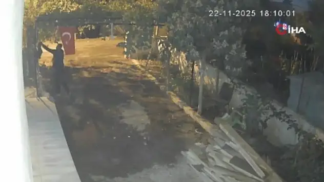 Kümesi 4 dakikada boşaltıp gitti: Mavi yumurtlayan tavuklar çalındı