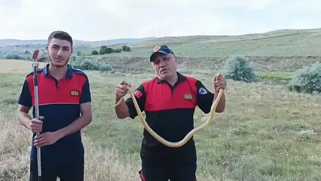 Kur'an kursu bahçesine giren yılan korkuttu