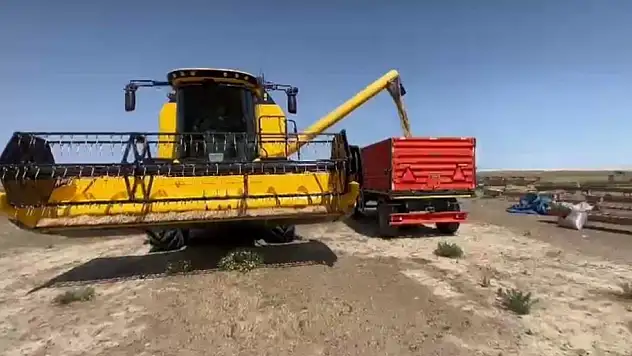 Kuraklık Kulu'da arpa verimini düşürdü!