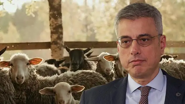 Kurban Bayramı'nda ilk günün bilançosu ağır: Binlerce kişi yaralandı