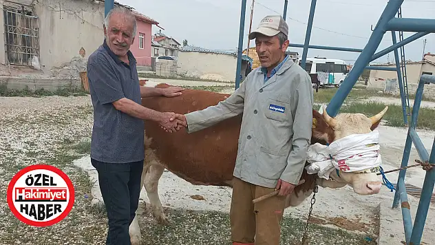 Kurban satıcıları ön sipariş almaya başladı!