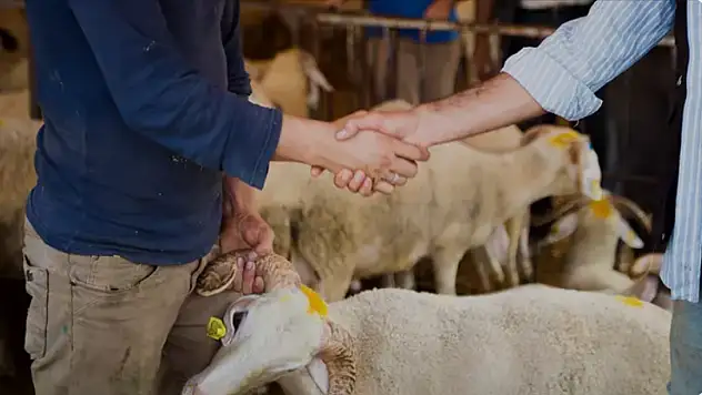 Kurbanlık seçerken dikkatli olun uyarısı