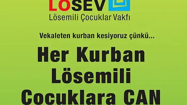 LÖSEV, bu yılki kurban bağış fiyatını belirledi!