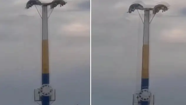 Lunaparkta korku dolu dakikalar: Baş aşağı mahsur kaldılar