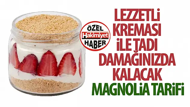MAGNOLİA TARİFİ! Lezzetli kreması ile tadı damağınızda kalacak Magnolia tarifi!