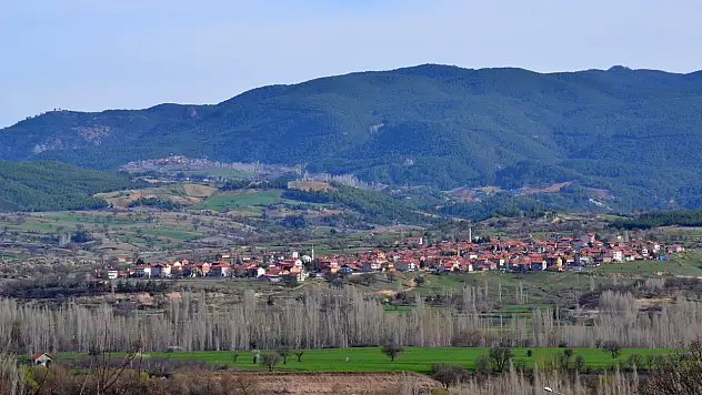 Mahalle statüsü kazanmak için seçime gittiler! 
