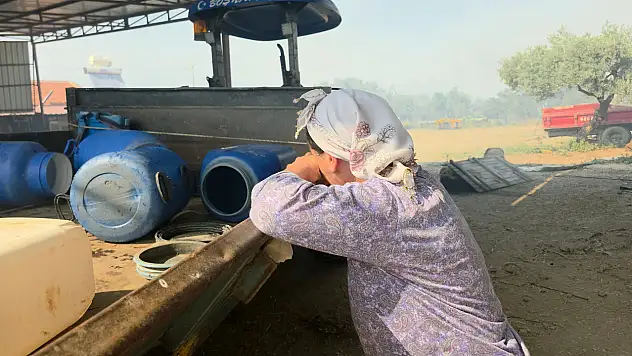 Makilik alanda çıkan yangın köye sıçradı: Evler küle döndü