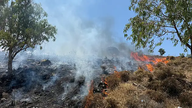 Makilik ve otluk alanda yangın çıktı